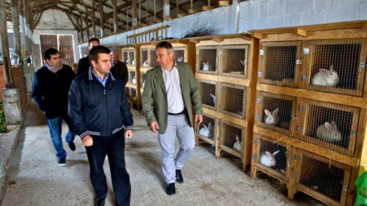 Hungary's Minister Of State: Public Work Must Be Meaningful And Productive