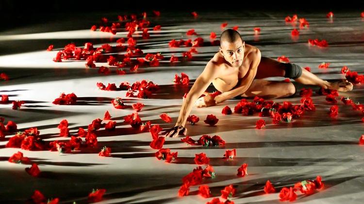 Invitation: Pál Frenák Company: InTimE, Átrium Budapest, 25 October