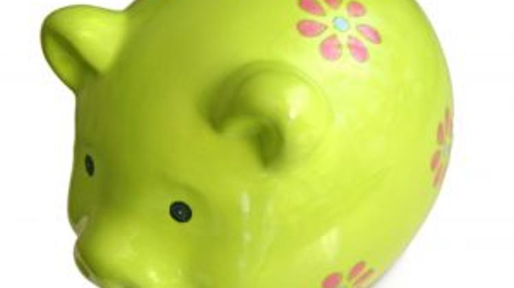 Pension Fund Money Melts Away In Hungary