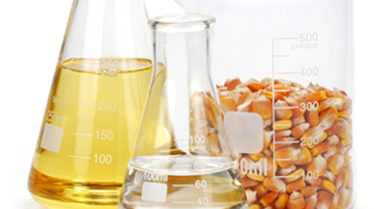 Alcohol Factory Opens At Szabadegyháza, Hungary