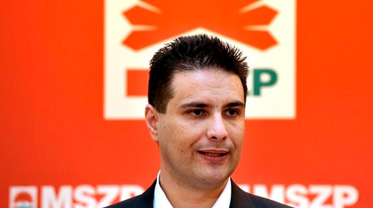 Socialists Ask Hungary's President About 2014 Election Date