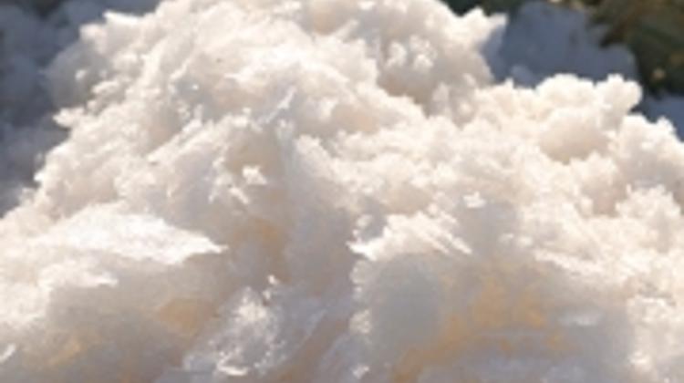 Invitation: Special Salt Dinner At Le Bourbon From Mallorca, 22 November