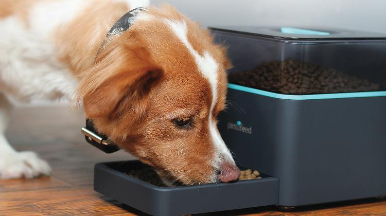 Technological Innovations In Hungary At Kaba’s Pet Food Factory