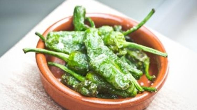 Photo Article: Padron, Spanish Bites In Budapest