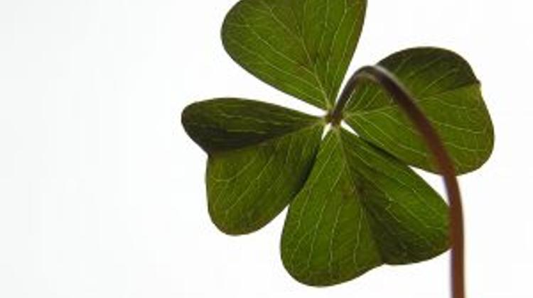 Xpat Opinion: Hungary’s PM Orbán Lucky With His Opposition?