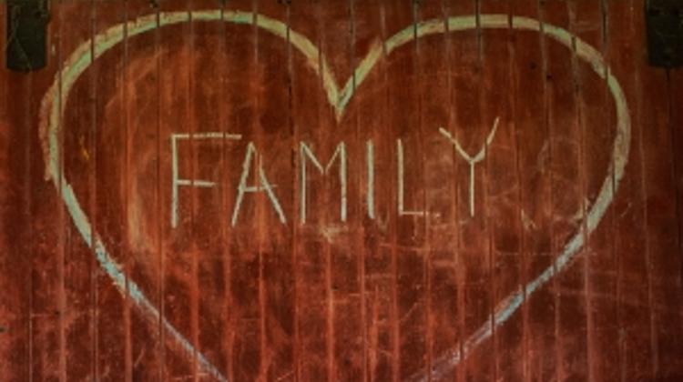 Fidesz: Positive Changes Expected For Families In Hungary In 2014