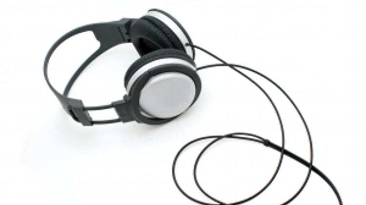 Investigative Committee In Hungary On NSA Eavesdropping Led By Fidesz Lawmaker