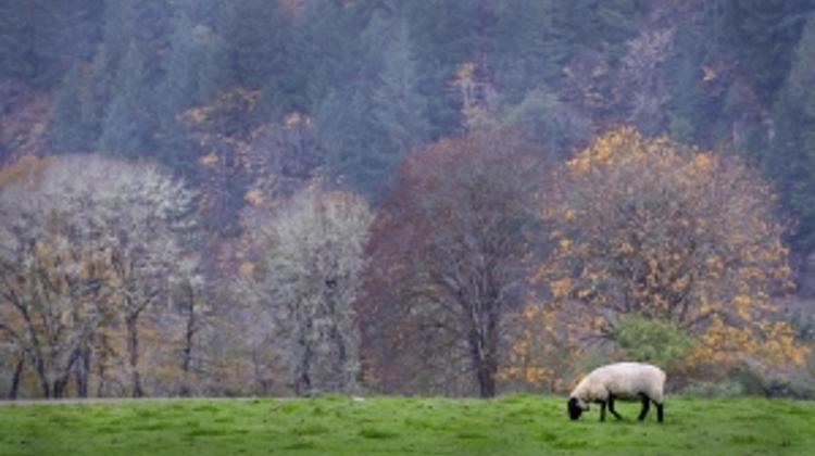 Opposition Decries Splitting Up Organic Farm In Hungary