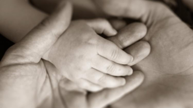 Hungary Births, Deaths Down In Jan - Oct