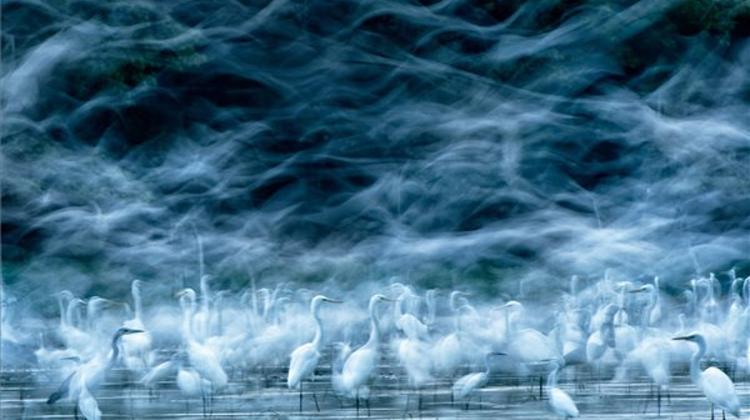 Hungarian Awarded At National Geographic Photo Contest 2013