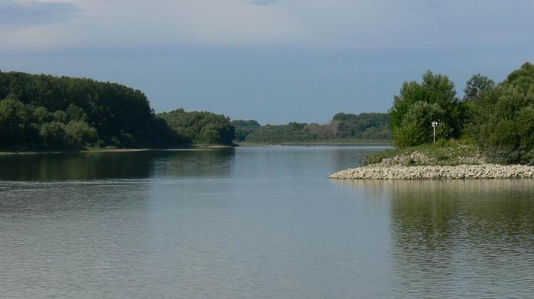 A WWF Restoration Project In Hungary Brings Life Back To A Danube Island