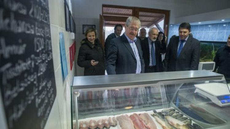 Fish Consumption In Hungary Increases By 20 Percent