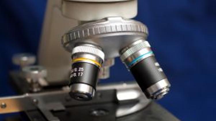 Hungarian Breakthrough In Neurology