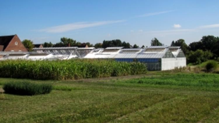 Hungarian Govt Wants Stronger Agrarian Middle Class