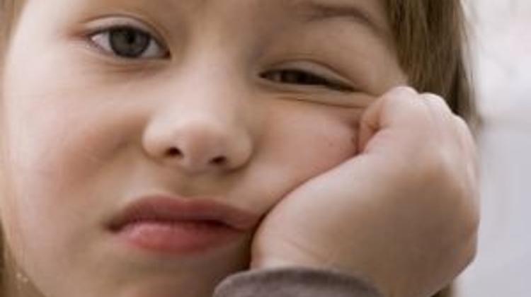 Poll Reveals High Voter Apathy In Hungary