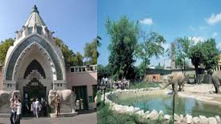 Budapest Zoo Expansion Project To Start In Feb