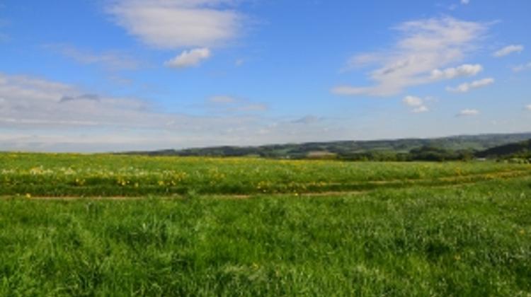 Little Rain Might Undermine Hungarian Government Prospects