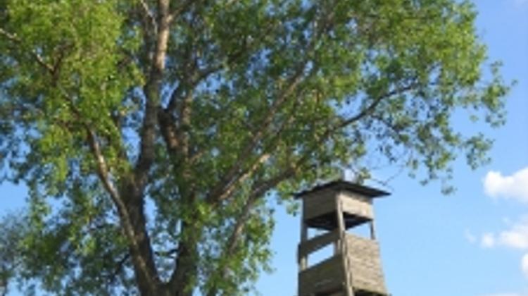 Hunting Business Brings In More Than HUF 20bn In Hungary