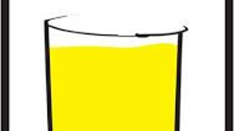 Hungarian Pro-Government Organisation Demands Naming And Shaming