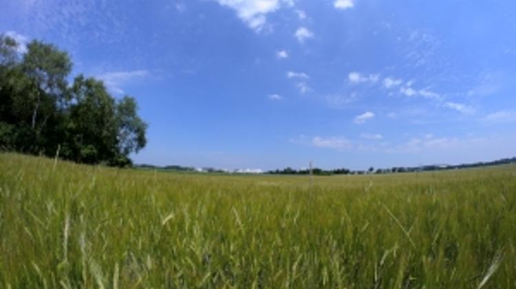 MEP Addresses European Parliament Over Hungary’s Land Law