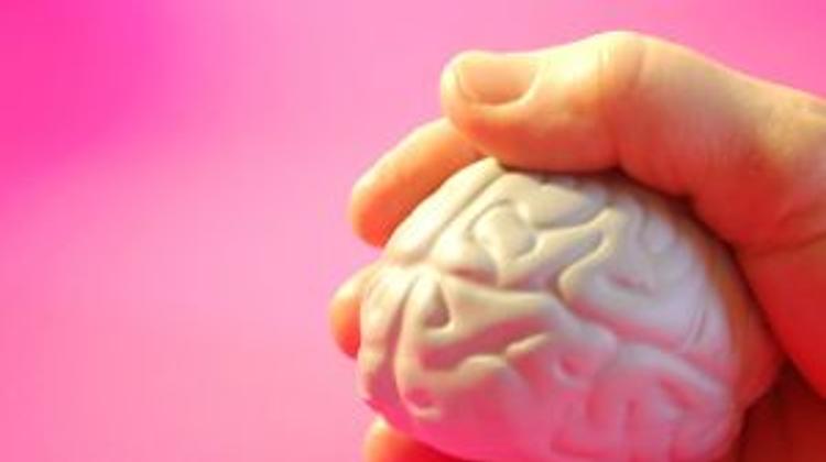 Hungary's PM Orbán Launches Brain Research Project