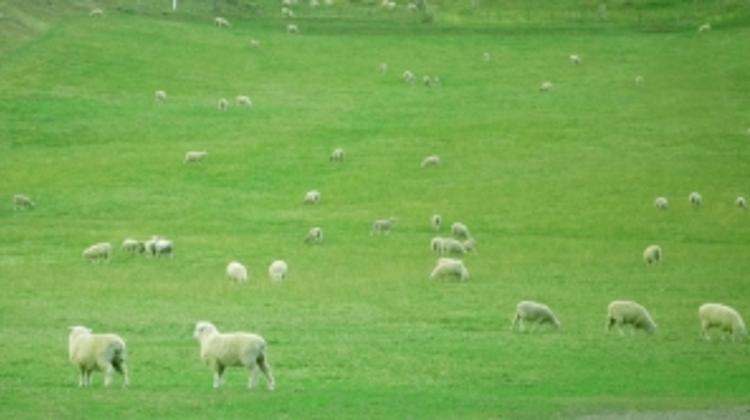 Hungary Welcomes Austria Taking Land Law Issue Off EU Agenda