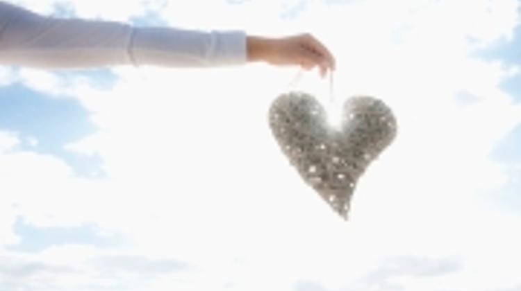 Valentine's Day Dinner At Le Bourbon Restaurant In Budapest