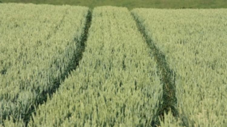 EU To Review Hungary Land Law