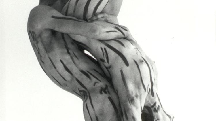 Compagnie Pál Frenák: Tricks & Tracks 2., Trafó Budapest, 20 - 22 March