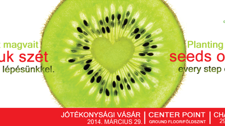 Mega Garage Sale In Budapest For Charity, 29 March