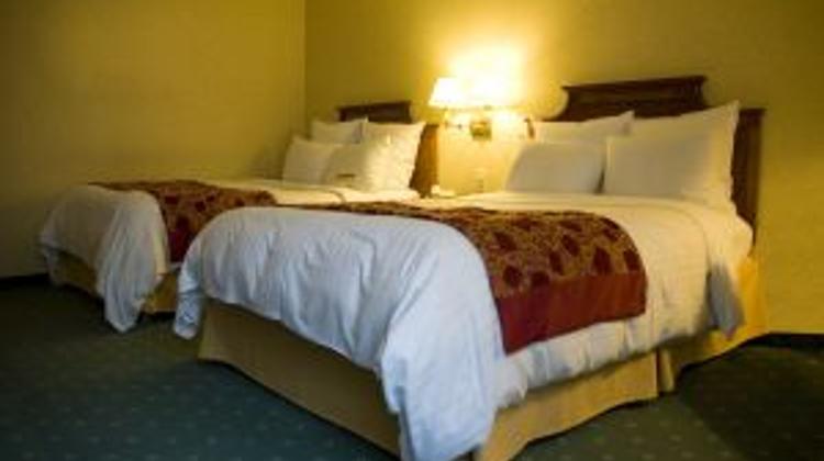 Hungary Guest Nights Climb 13.5% In January