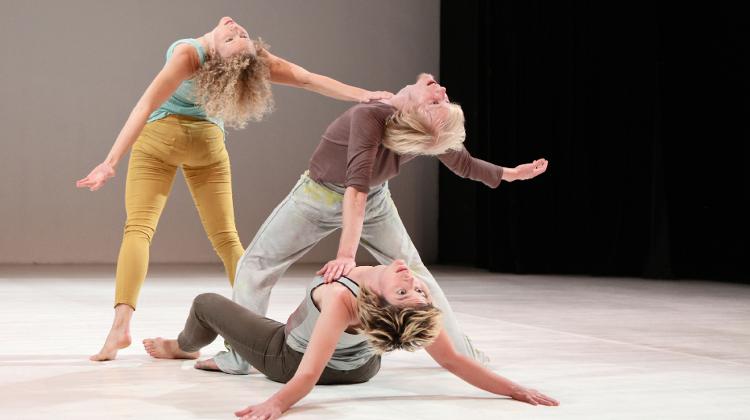 'There’s An Elephant In Every Room', Jurányi House Budapest, 22 March