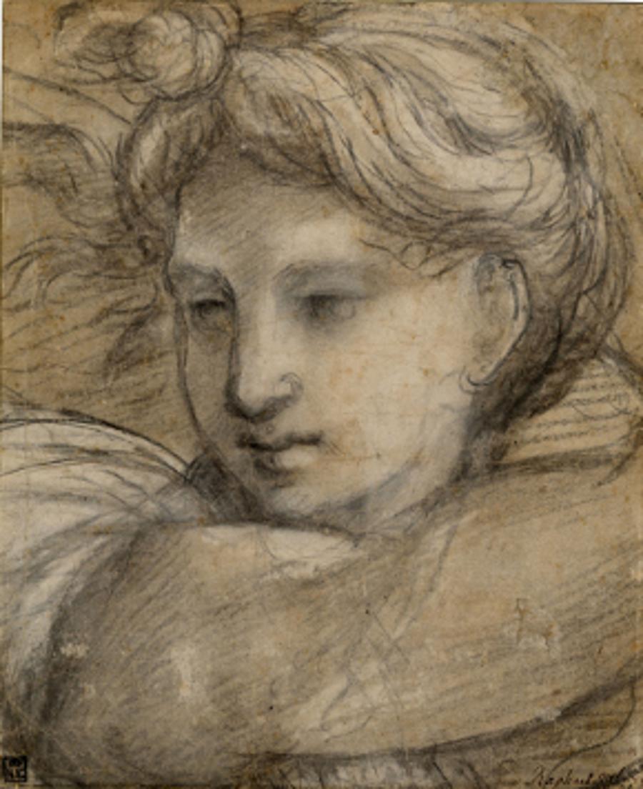 Triumph Of Perfection - Raphael, Fine Arts Museum