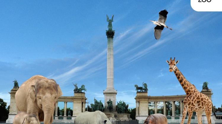 Leading Zoo Professionals Will Come Together In Budapest Zoo