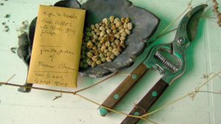 Memorial Of Bulgarian Market Gardeners Unveiled In Budapest