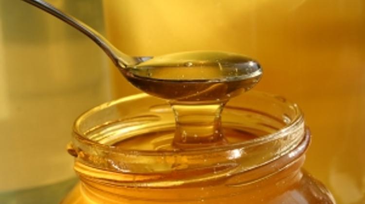 Acacia Honey Is The Backbone Of The Beekeeping Industry In Hungary
