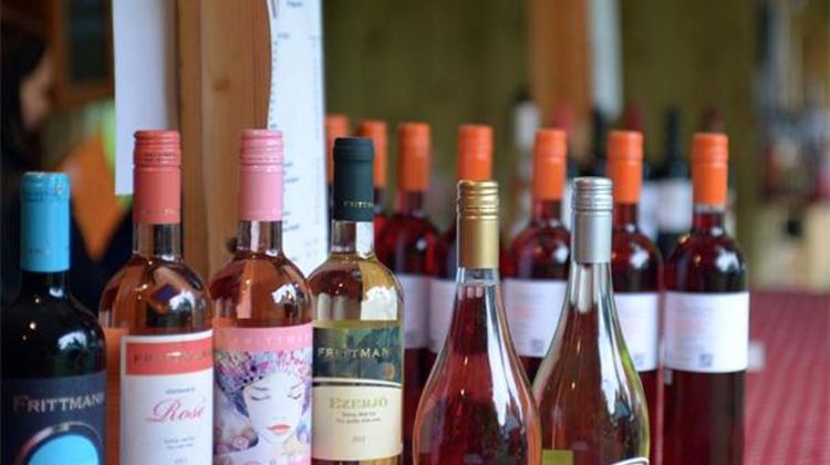 See What Happened @ Rosalia - Rosé Festival In Budapest