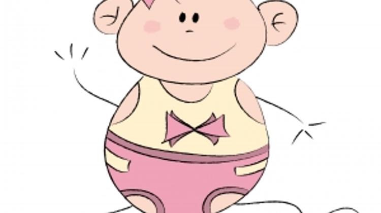 Population Decline In Hungary Slows In Jan - March