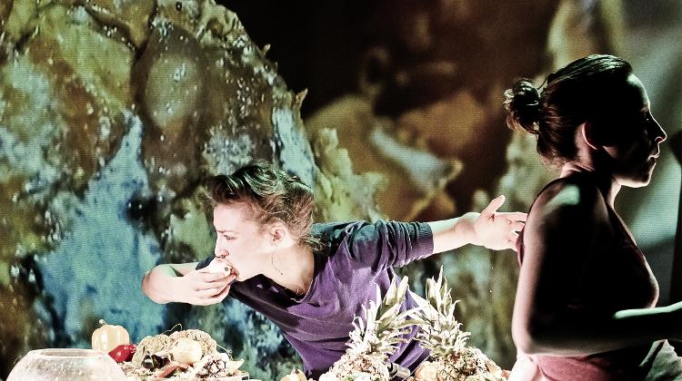 Liquid Loft /Chris Haring (A): Deep Dish, Trafó Budapest, 16 – 17 May