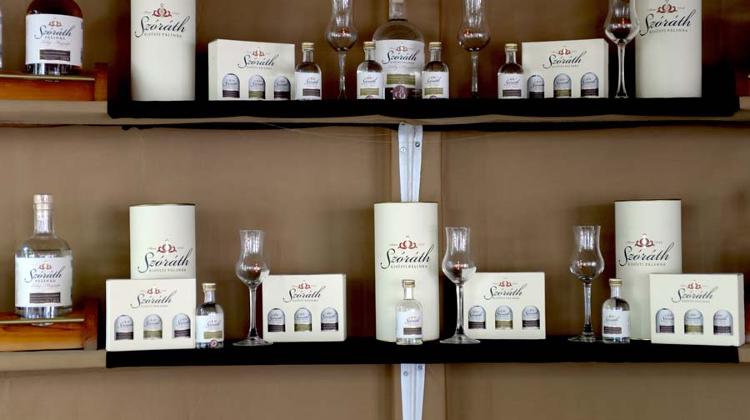 See What Happened @ Spring Pálinka Festival, Városháza Park Budapest