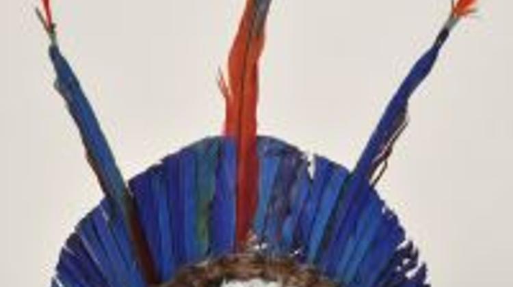 Now On: Charming Feathers, Museum Of Ethnography Budapest