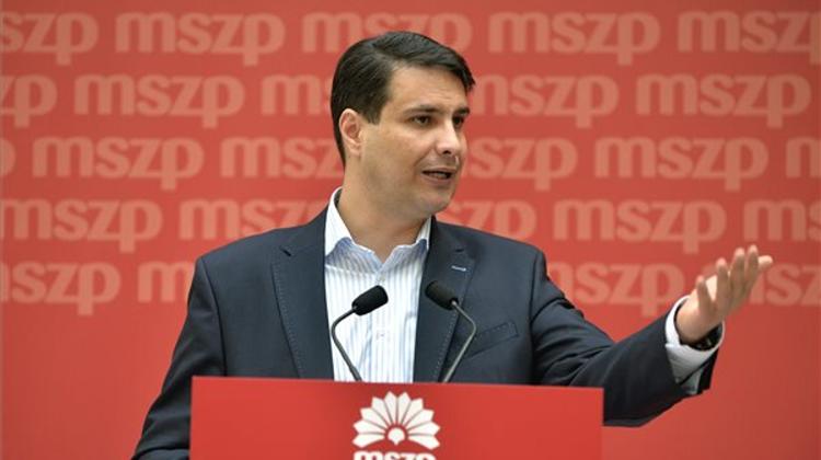 Hungary’s Socialists To Have New Leaders By Mid-Summer, Says Mesterházy