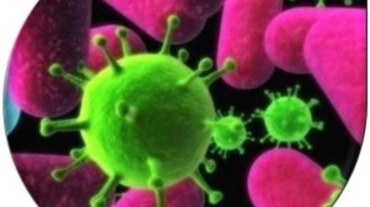 'Infectious Diseases', By FirstMed Budapest