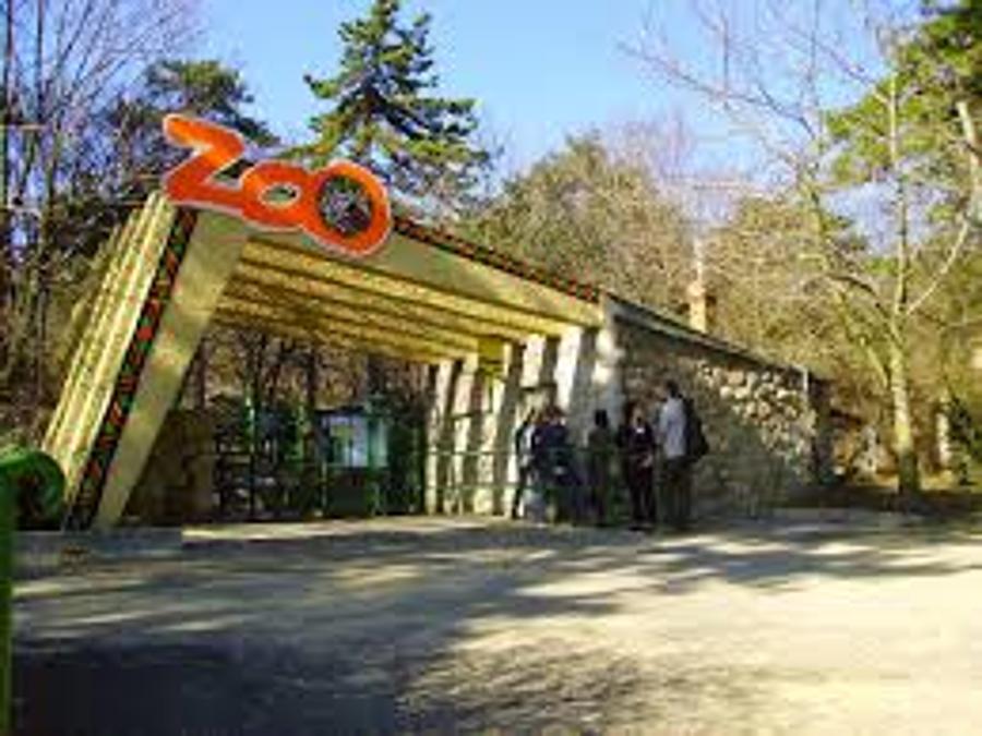 Hungary's Town Pécs To Renew Local Zoo