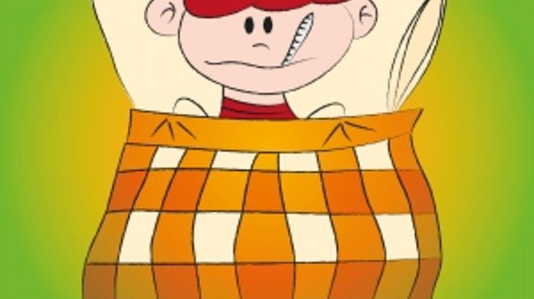 Proposal For Paid For Services In Hungarian State Hospitals