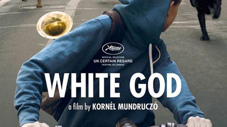 Video Article: Double Hungarian Success In Cannes