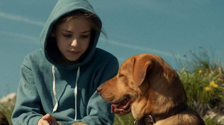 Hungary Film White God Selected To Run For EP Lux Prize