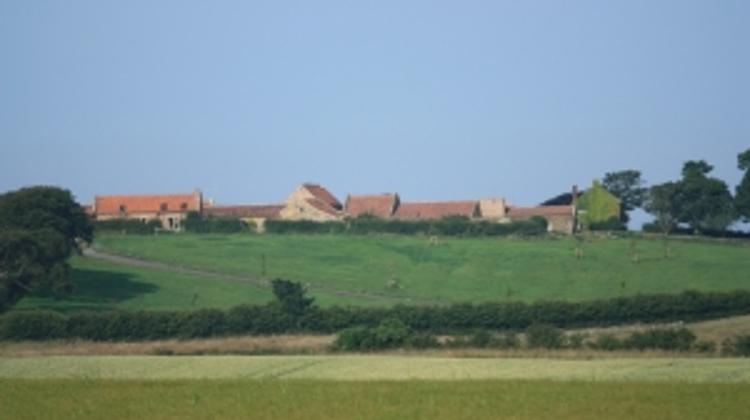 Hungarian Anthrax Farmer Linked To Fazekas