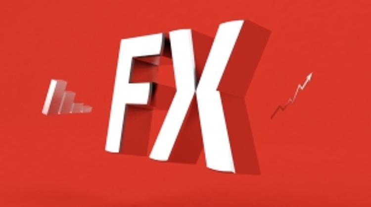 European Court To Hear Another Hungarian FX Loan Case