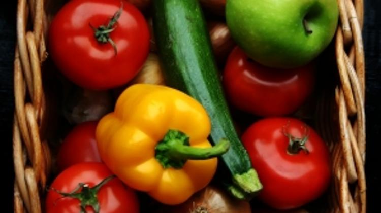 Hungarian Govt Working To Minimise Losses Due To Russian Embargo